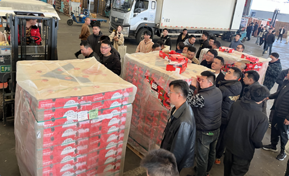 朗浩集團(tuán)今年首批智利空運(yùn)車?yán)遄禹樌涞厣虾?>
                            </div>
                            <div   id=