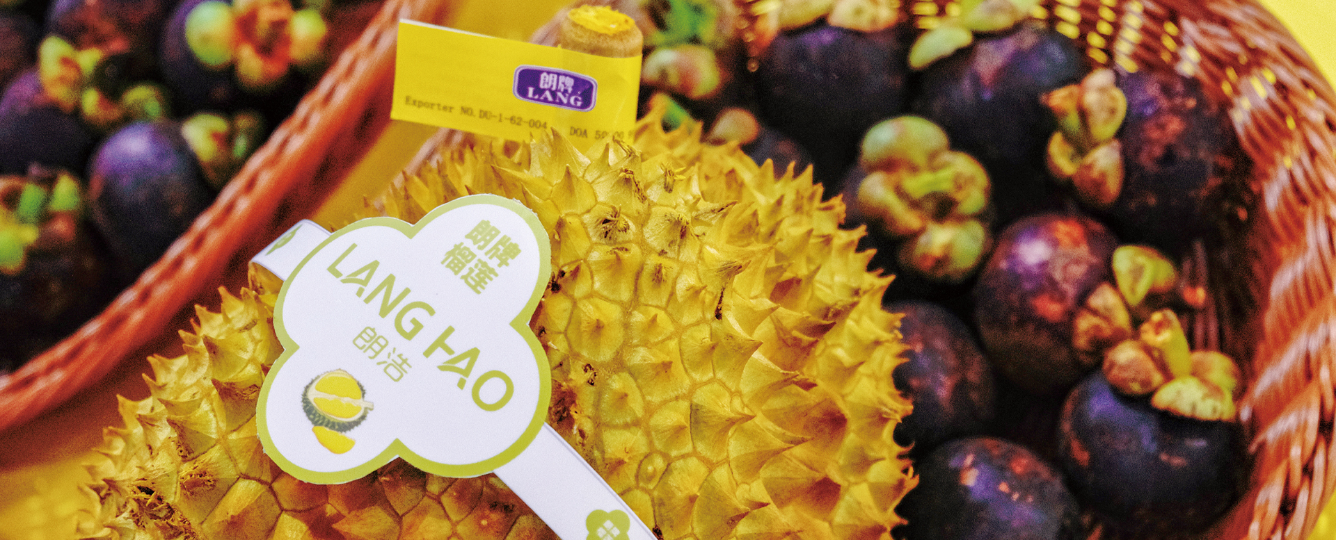Sichuan Langhao Digital Technology Co., Ltd.