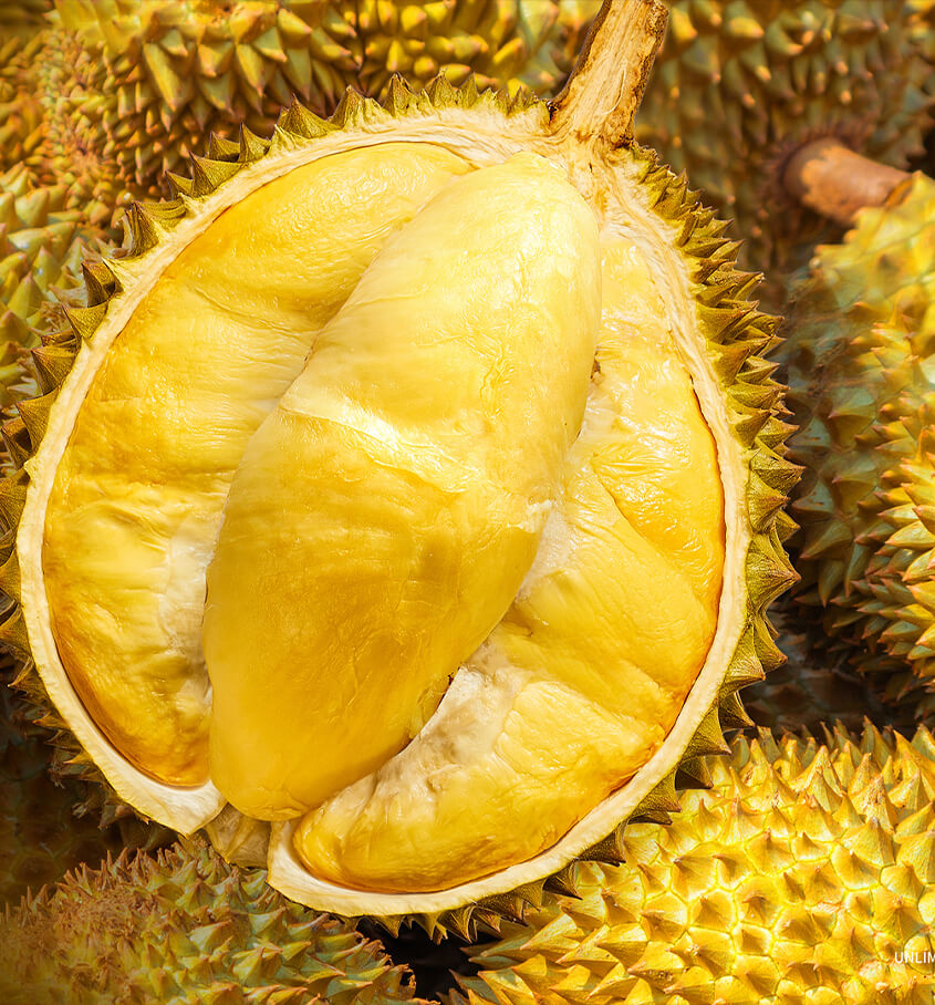 Thai Durian