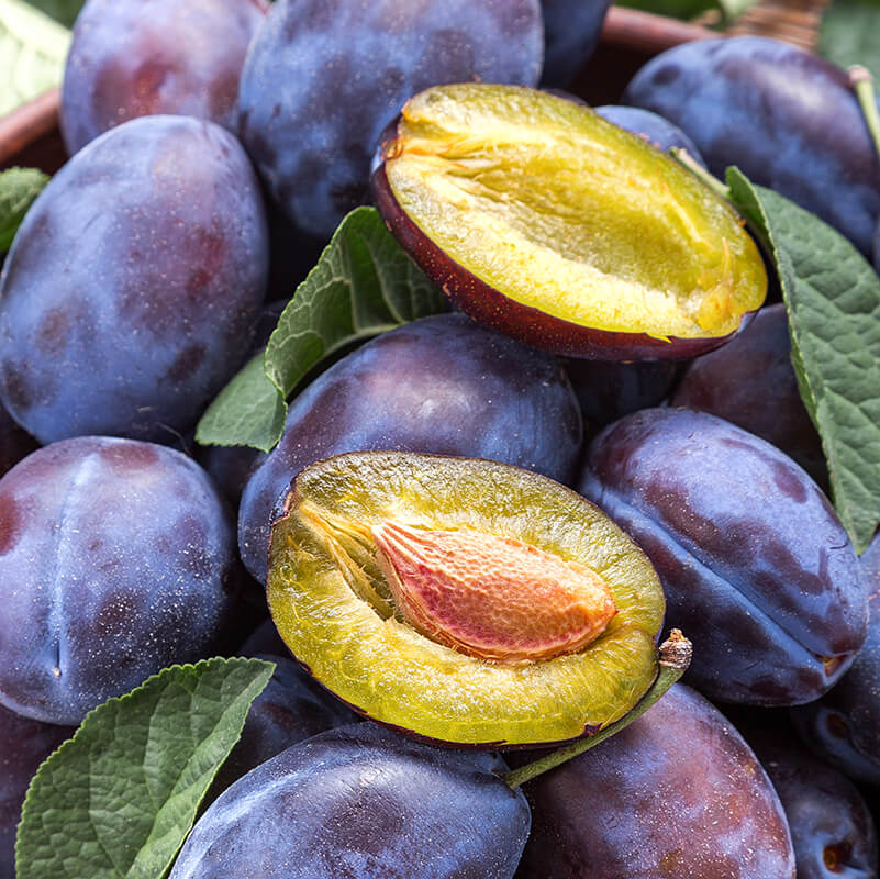 Chilean Prunes