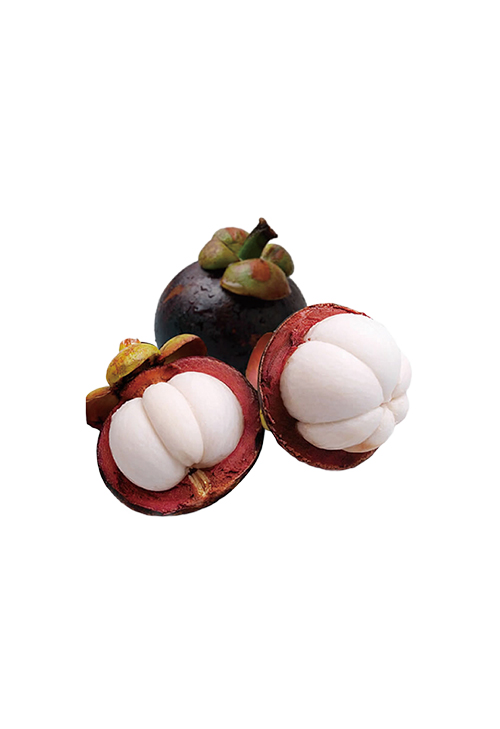 ?Thai Mangosteen